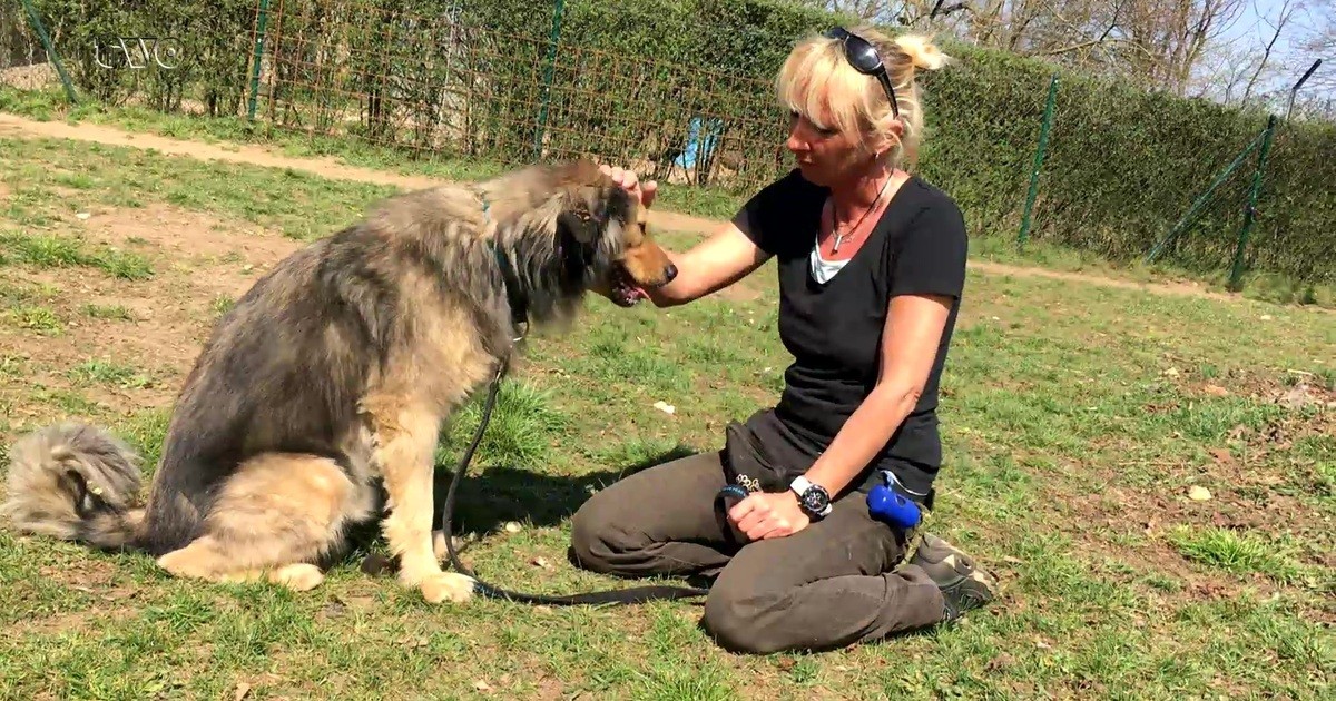 Ab ins Körbchen Zu Besuch im Tierheim Forchheim tvo de